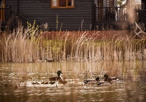 3 bedroom accommodation in Darsham, Nr Southwold