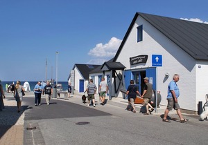 3 bedroom accommodation in Thisted