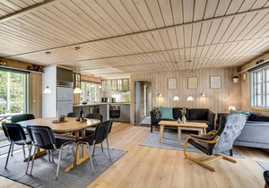 3 bedroom gorgeous home in Ansager