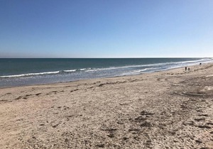 3 Bedroom Henley Beach Pad *WIFI*NETFLIX*PARKING