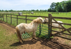 3 bedroom(s) Cottage near Lechlade