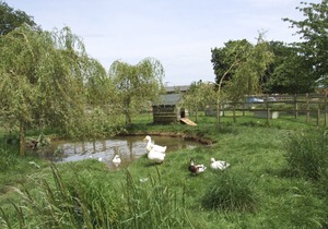 3 bedroom(s) Cottage near Lechlade