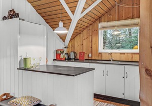 3 bedroom stunning home in Fjerritslev