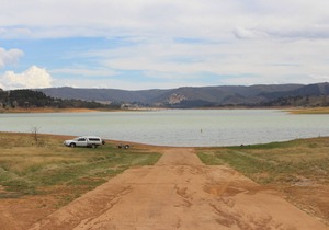 3 WISE MONKEYS, MANSFIELD