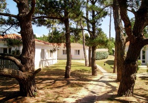 30 m² Accommodation ∙ 1 bedroom ∙ 4 guests