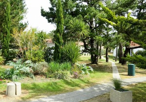30 m² Accommodation ∙ 1 bedroom ∙ 4 guests