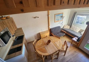 300m from ski lifts, 3rd floor, balcony, tv, ski locker, 31m², Alpe d'Huez
