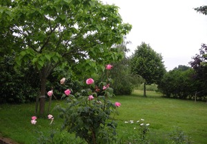 310 m² House ∙ 6 bedrooms ∙ 12 guests