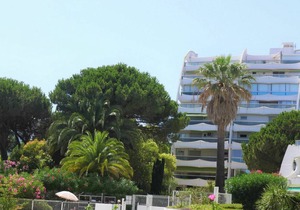 34 m² Apartment ∙ 1 bedroom ∙ 5 guests