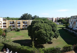 35 m² Apartment ∙ 1 bedroom ∙ 4 guests