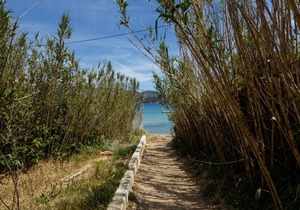 35 m² Apartment ∙ 2 bedrooms ∙ 6 guests