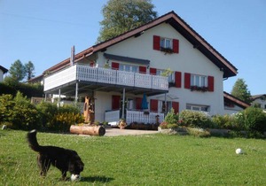 37 m² Apartment ∙ 1 bedroom ∙ 5 guests