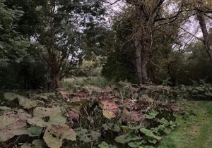 4 person holiday home in Faxe Ladeplads-By Traum