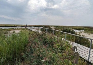 4 person holiday home in Fanø