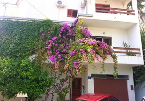 40 m² Apartment ∙ 1 bedroom ∙ 3 guests