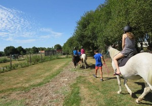 40 m² Gîte ∙ 2 bedrooms ∙ 8 guests