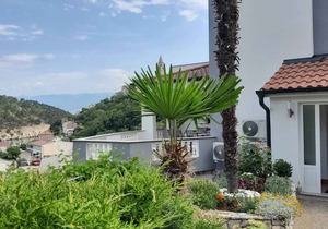 41 m² Apartment ∙ 1 bedroom ∙ 3 guests
