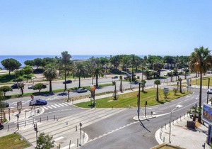 43 m² Apartment ∙ 1 bedroom ∙ 4 guests