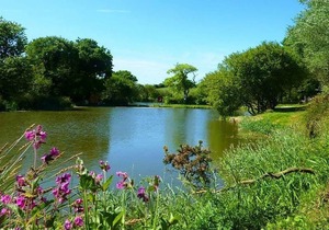 5 bedroom accommodation in Nr St Austell