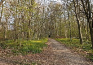 5 star holiday home in Faaborg