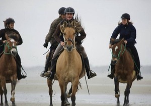 50 m² Apartment ∙ 1 bedroom ∙ 6 guests