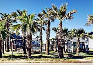 50 m² Condo ∙ 1 bedroom ∙ 4 guests