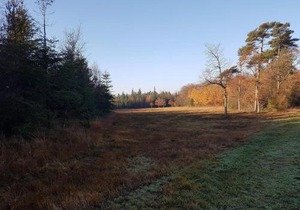 6 person holiday home in Toftlund-By Traum