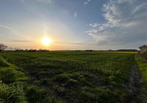 6 person holiday home in Haderslev-By Traum