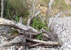 6 person holiday home in Haderslev-By Traum