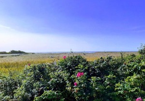 6 person holiday home in Skjern-By Traum