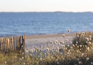 71 m² Apartment ∙ 2 bedrooms ∙ 4 guests