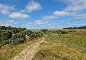 8 person holiday home in Tisvildeleje