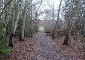 8 person holiday home in Gilleleje