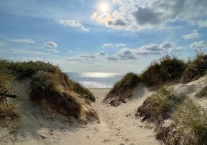 8 person holiday home in Ulfborg-By Traum