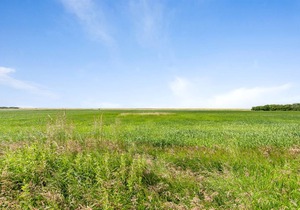 85 m² House ∙ 1 bedroom ∙ 4 guests