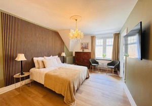 aday - Aalborg Mansion - 3 bedroom apartment