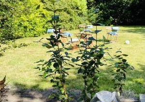 aday - Aalborg mansion - Open bright apartment with garden