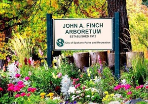 Adorable Finch Arboretum One Bedroom