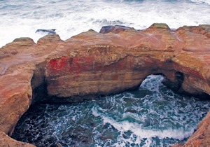 Adventure Awaits! Three Cozy Unit Near Beaches, Pool