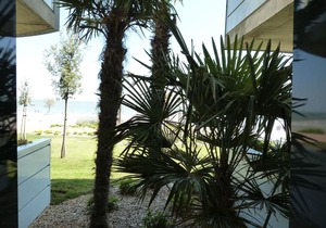 Apartment 2-6 people, garden, beach, pool, parking, pets allowed