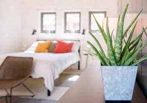 Apartment ∙ 2 guests