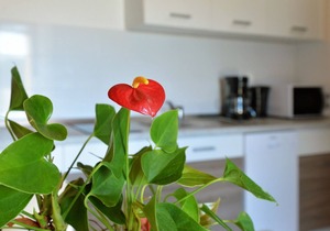 Apartment Goranka 5