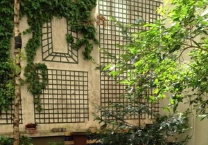 Apartment in PARIS CENTER.CHARMING FLAT WITH GARDEN AREA HEART OF NOTRE DAME PARIS SAINT-GERMAIN-PANTHEONResidential flat