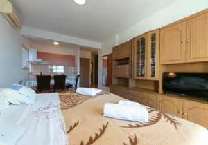 Apartment Marko - amazing sea view: A5(2+3) - Brela, Riviera Makarska, Croatia