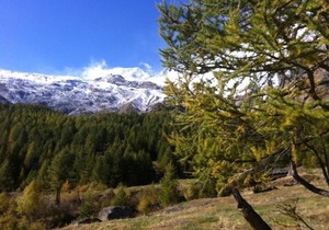 Apartment Mikado by Interhome