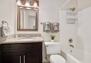 Apartment next to Forest Park/WashU/Hospital pets welcome