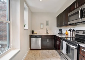 Apartment next to Forest Park/WashU/Hospital pets welcome