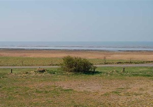 Apartment Vadehavsvej II