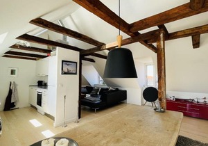 ApartmentInCopenhagen Apartment 1490