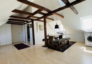 ApartmentInCopenhagen Apartment 1490
